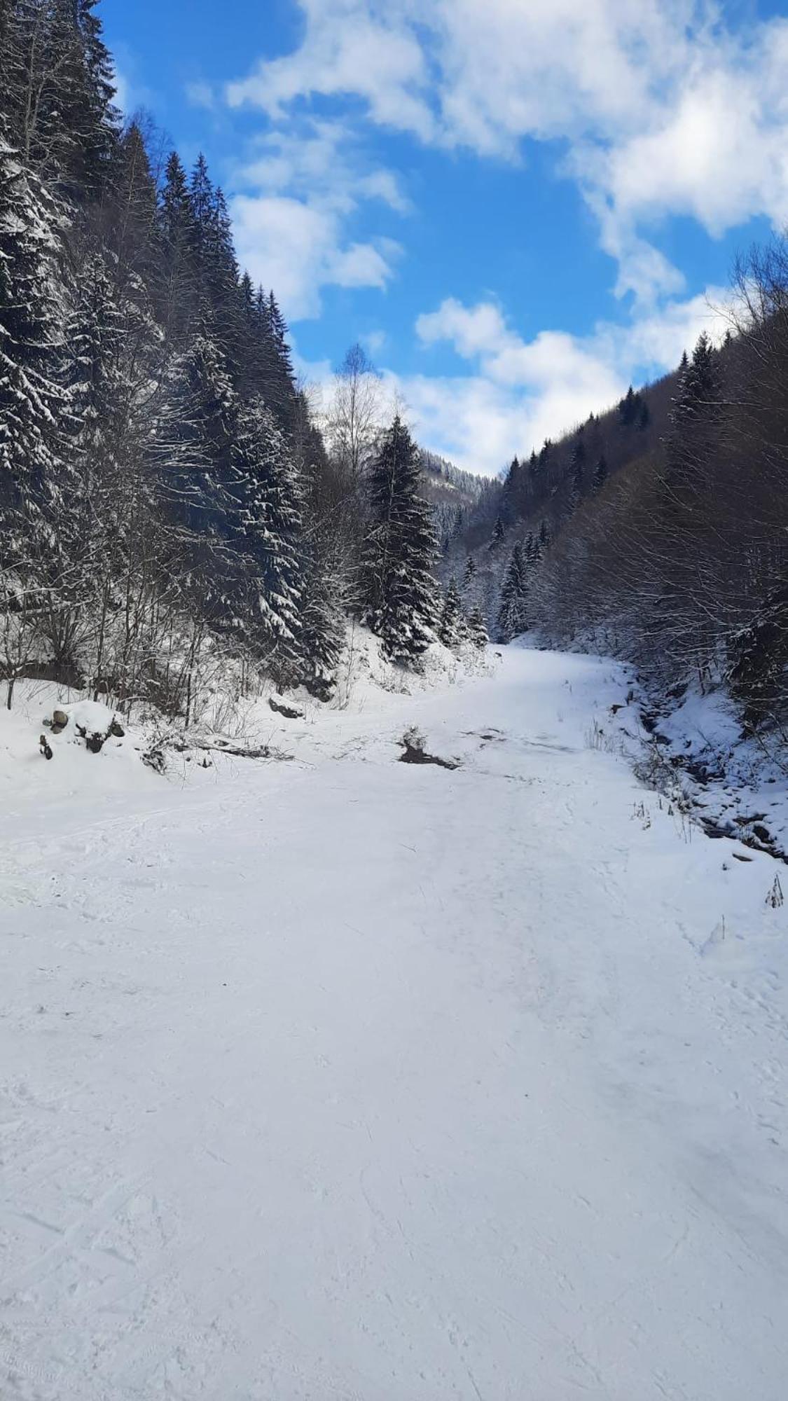 Izvorul Maleii Hotel Petrila Buitenkant foto
