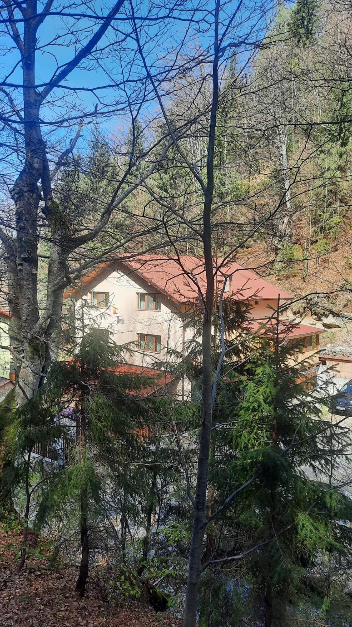 Izvorul Maleii Hotel Petrila Buitenkant foto